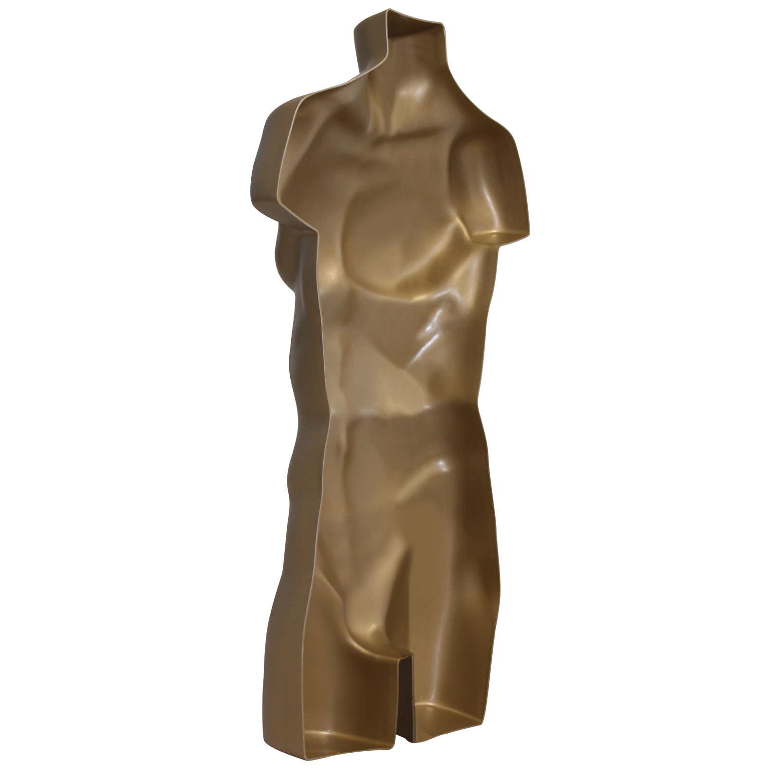 Adult Male Full Size Hanging Body Form Display Mannequin Body Form